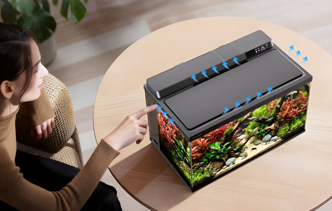 Sendiri Fish Akuarium Bisa Ngurus Ikan Sendiri? Dangbei Rilis Smart Fish Tank 2S ...