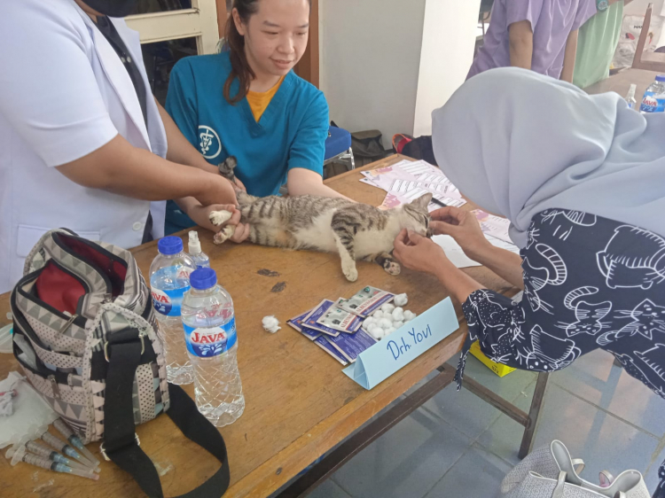 Tingkat Rabies Tingkat Kesadaran Kesehatan Tinggi, Masyarakat Sambut Antusias Vaksin ...